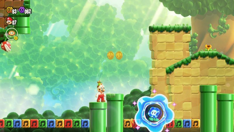 ワンダーフラワーの場所