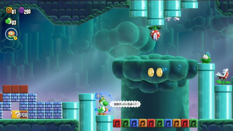 ワンダーフラワーの場所