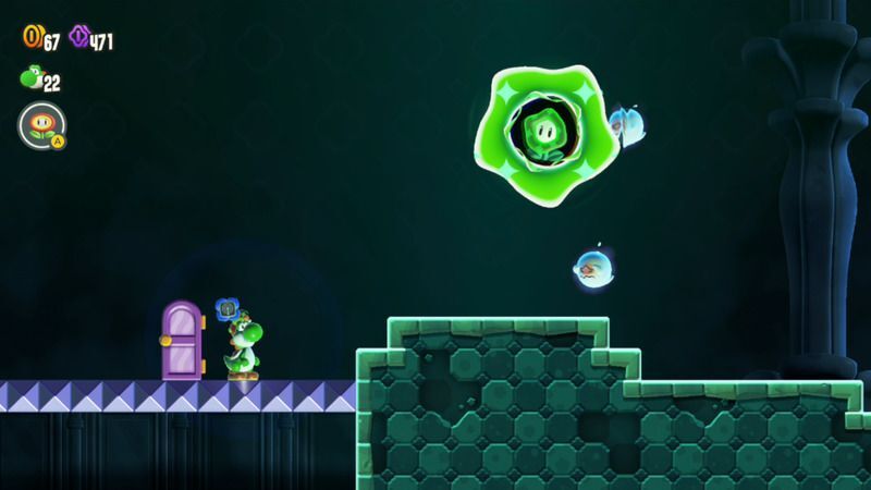 ワンダーフラワーの場所2