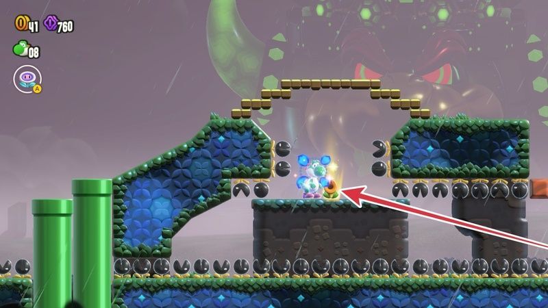 ワンダーフラワーの場所3