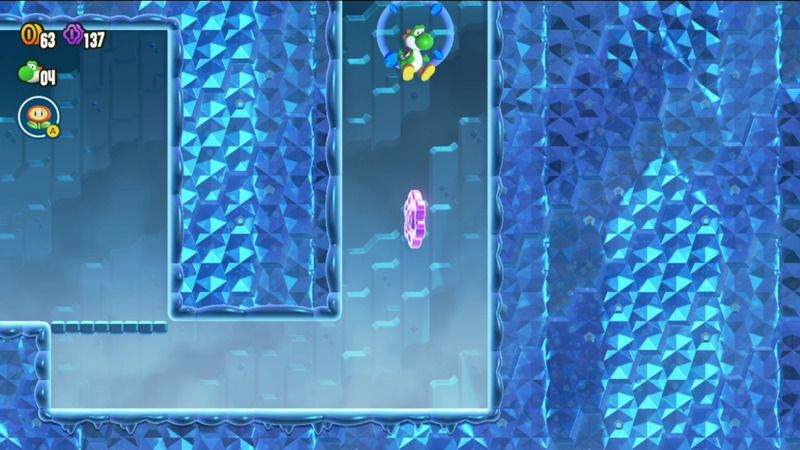 10フラワーコイン②の入手方法_2