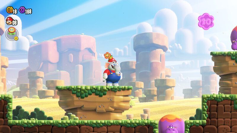 10フラワーコイン①の入手方法