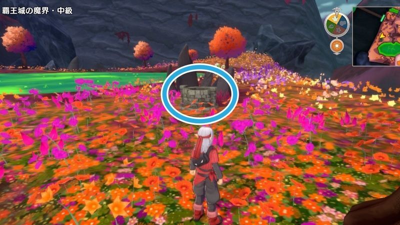 覇王城の魔界（中級）の小さなメダルの場所詳細1