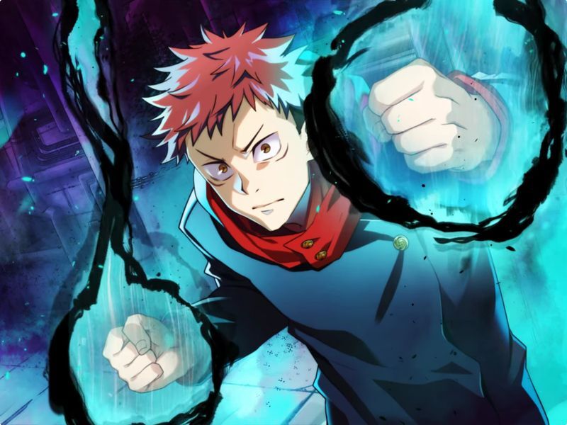 【宿儺の器】虎杖悠仁