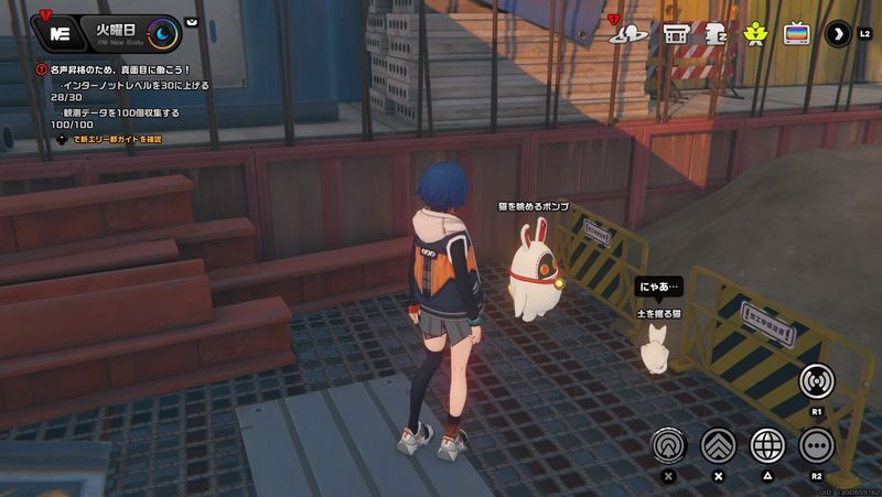 猫を眺めるボンプの出現場所