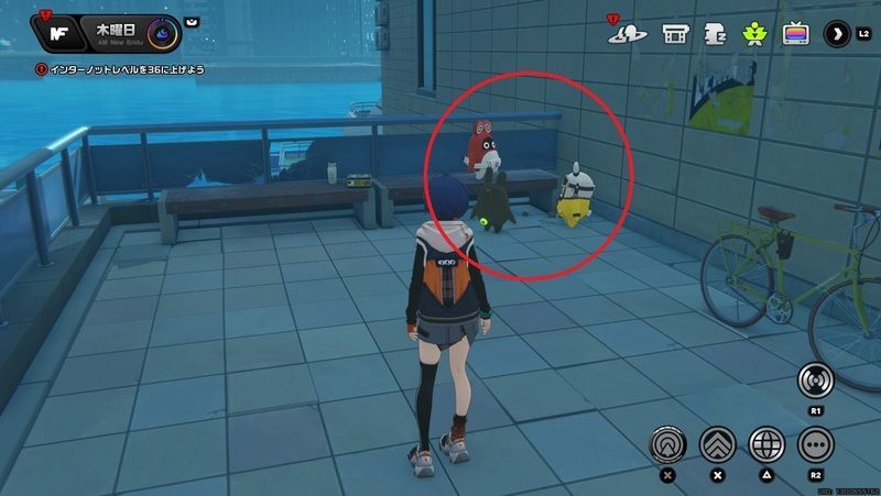 ヤンキーボンプの出現場所