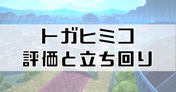 トガヒミコの評価と立ち回り