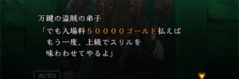クリア後の再入場はお金を払う必要がある