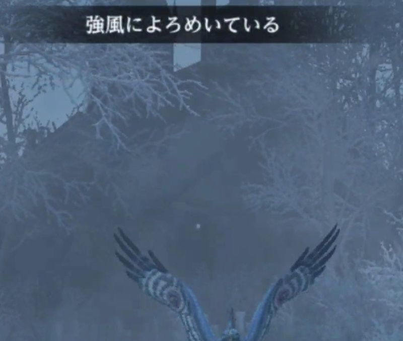 スノーホーク
