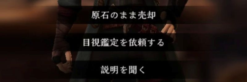 選択肢1