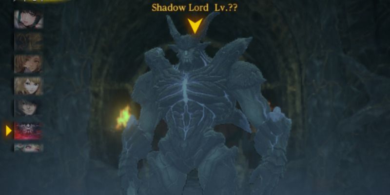 最奥でShadow Lordとの戦闘