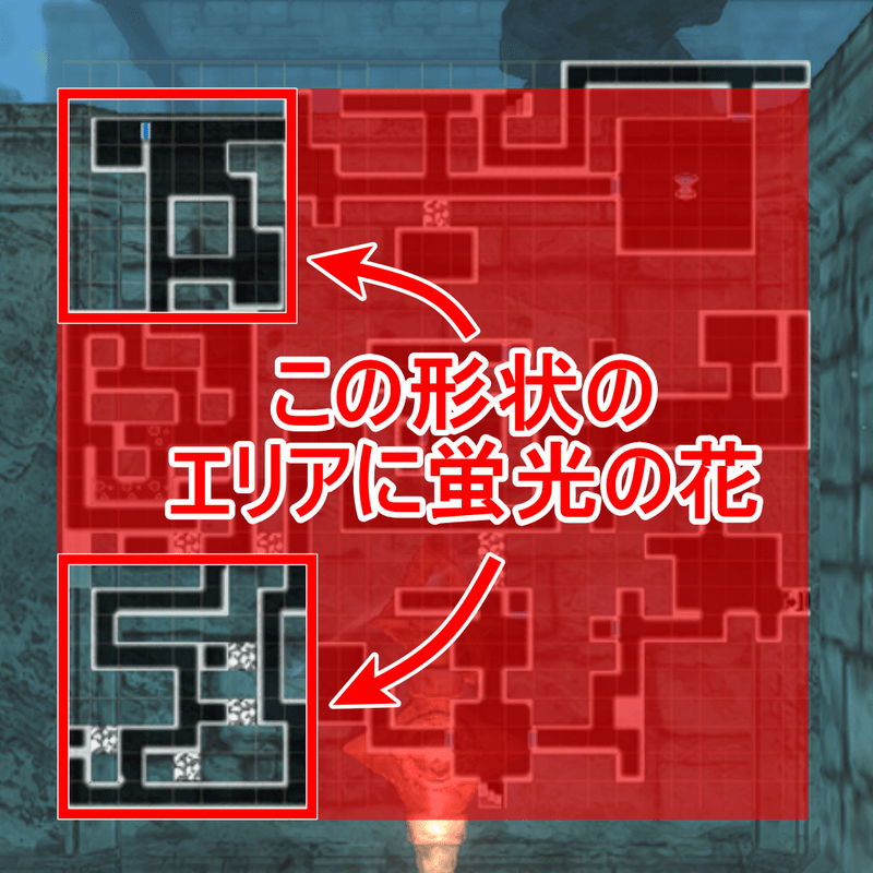 蛍光の花マップ