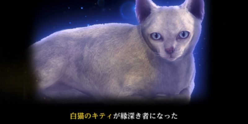 キティに魚を与え続けると縁深き者が入手できる