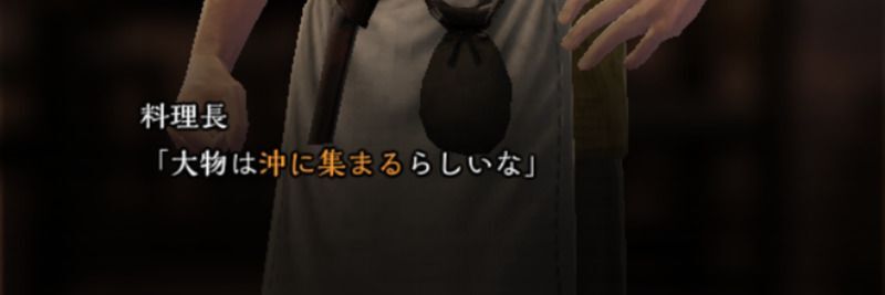 大物を狙う際のヒント