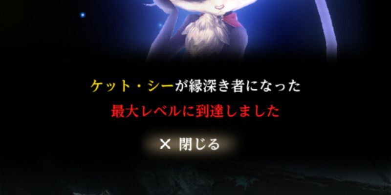 ケット・シーのレベル