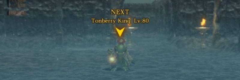 Tonberry Kinq戦の攻略