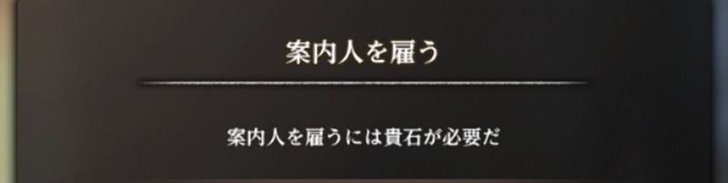 案内人を雇うと同行させることができる