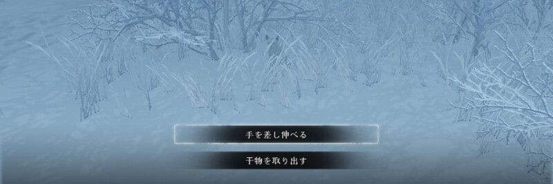 干物を用意しておく