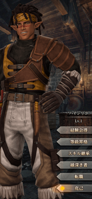 レンジャーハインリコ