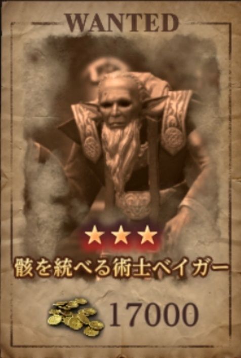 骸を統べる術士ベイガー