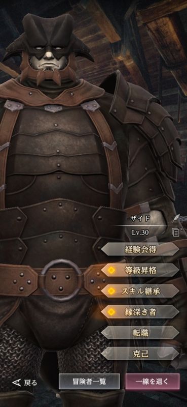 バストゥークの暗黒騎士ザイド