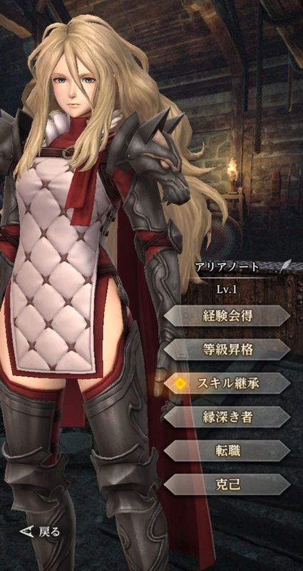 騎士愛莉安諾特