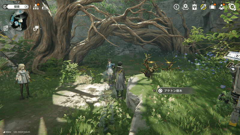 アケトン樹木採取場所の周囲