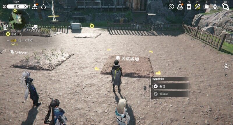 畑を「栽培」する