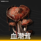 血潮茸