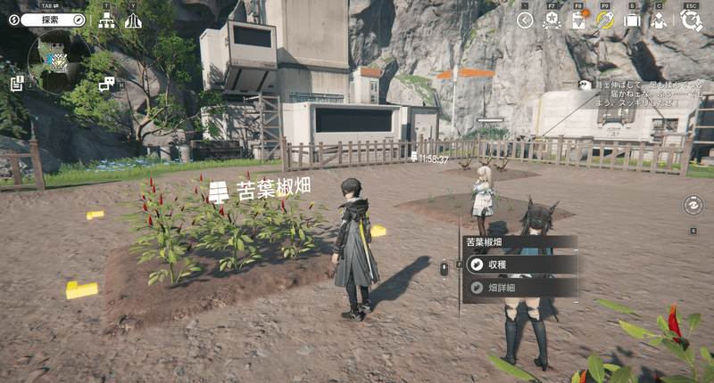 畑から生産物を「収穫」する