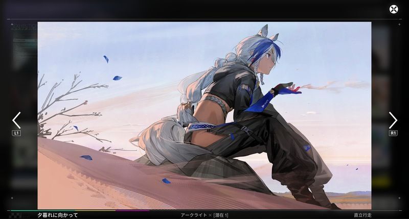 アークライト1凸