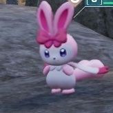 ヒメウサのアイコン