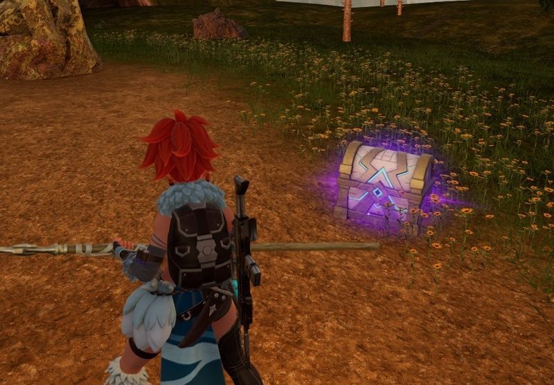 フィールドにある宝箱