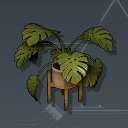 観葉植物セット