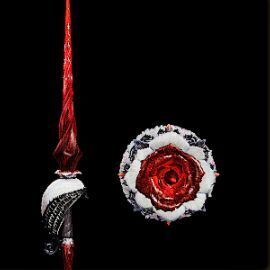 刺花剣アカトペルマ外見