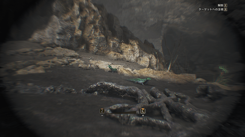 ホムラエリトカゲ