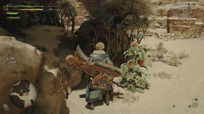 火薬草の周囲の様子