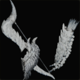 護鎖刃弓ガルストラムの外見