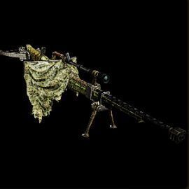 妃竜砲【飛撃】の外見