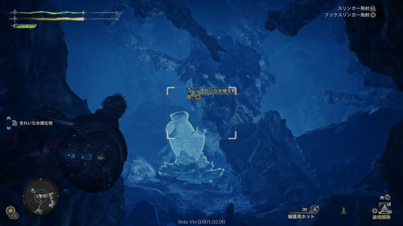 きれいな水棲生物