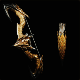 叛弓アルナスル