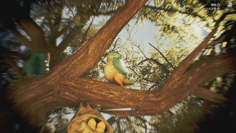 アワウタイズクの画像