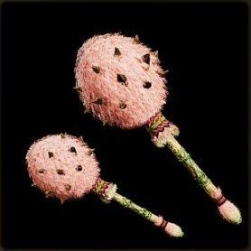 ピンクボンボンⅠ外見