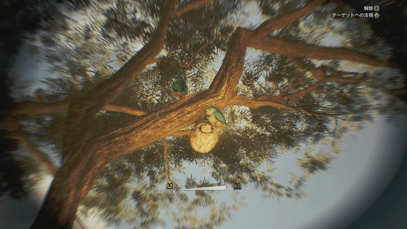 アワウタイズクの巣