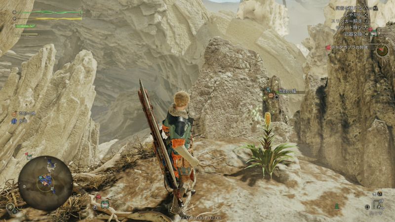 忍耐の種の周囲の様子