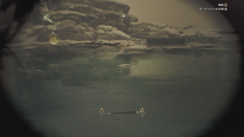 カンランアミア