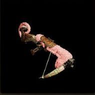 アサルトコンガⅠ外見