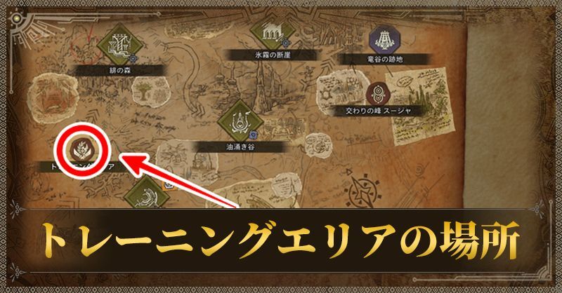 トレーニングエリアの場所