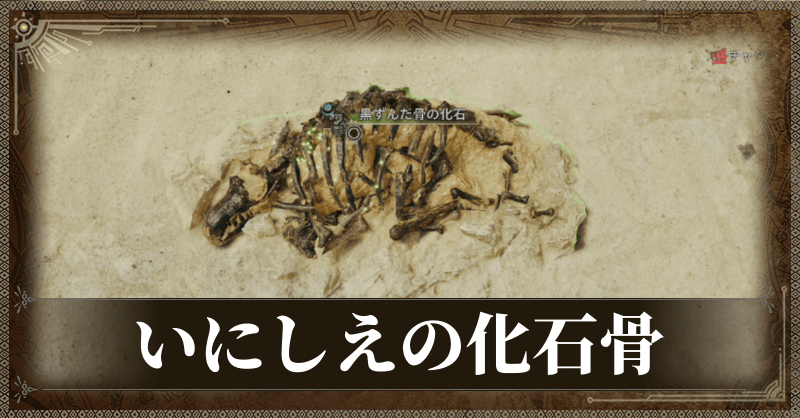 いにしえの化石骨