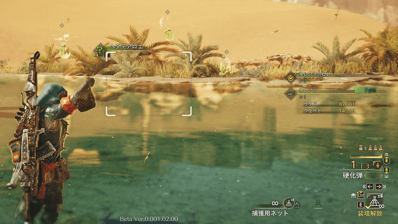 捕獲用ネットの捕獲画面